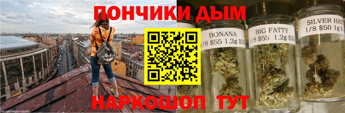 Конопля сатива  Каннабис марихуана  Вход с VPN  Волхов  Шишки марихуана план 